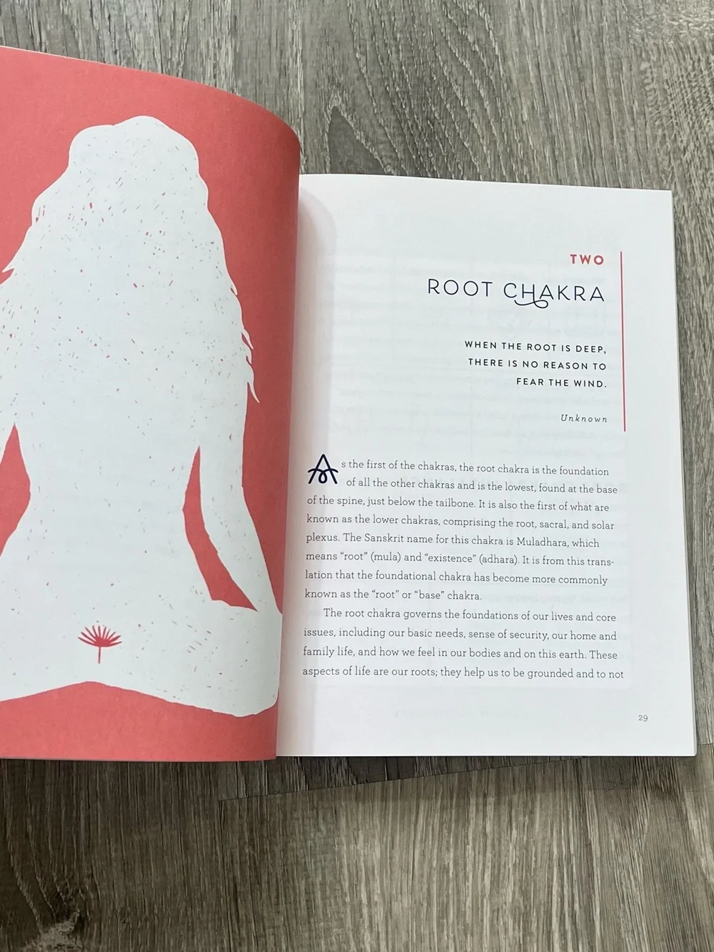 Chakras & Self-Care by Ambi Kavanagh Paperback Book